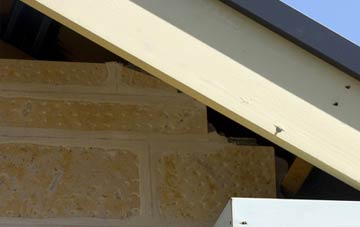 soffit repair Wolferlow